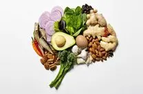 بهترین و بدترین مواد غذایی برای مغز
