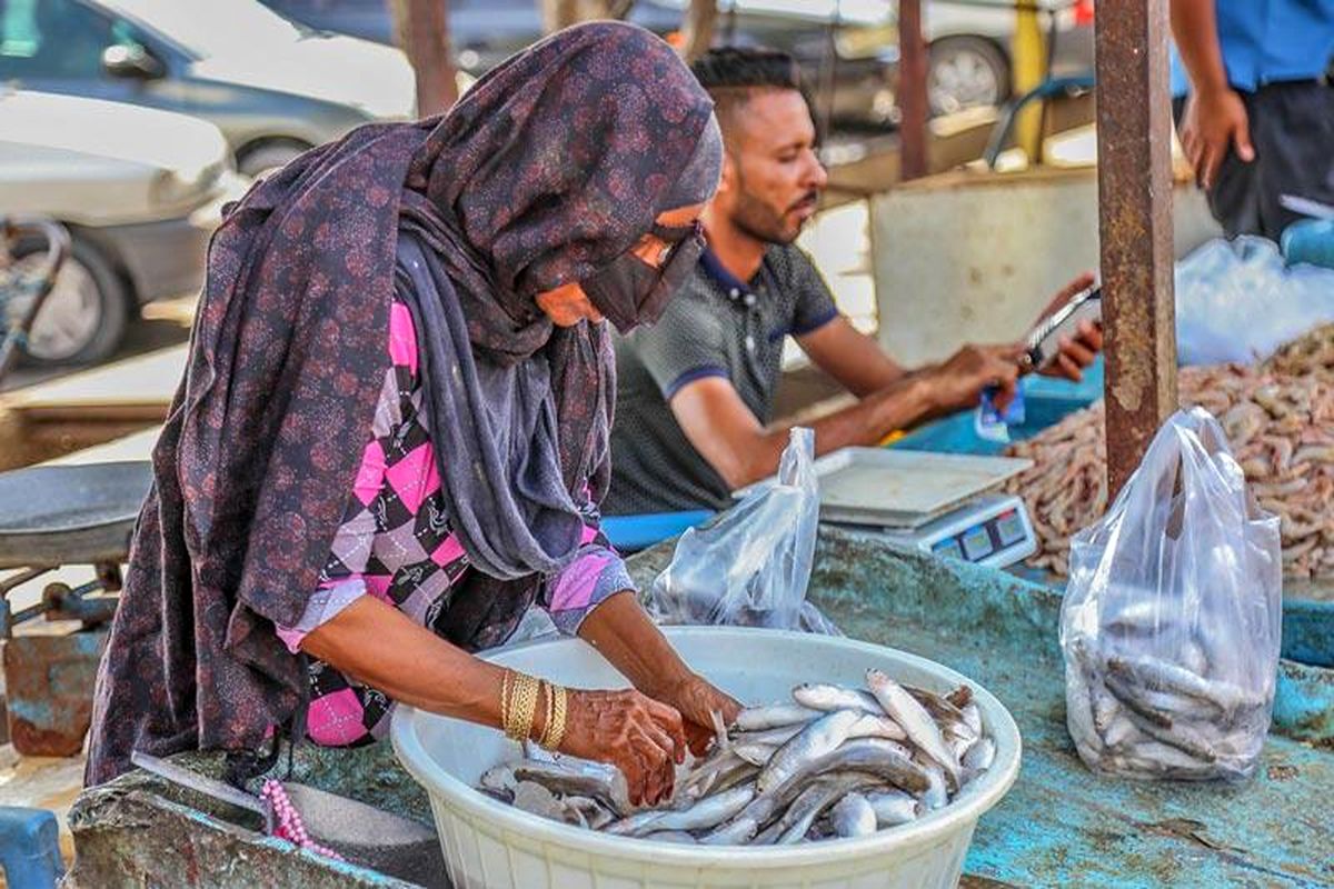 دستفروشان ماهی در بندرعباس جمع آوری می شوند