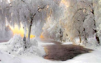 فنلاند، سرزمین جنگل و یخ