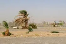 وزش بادهای شدید و گرد و خاک شرق هرمزگان را در بر می‌گیرد/ تنگه هرمز و خلیج فارس مواج می‌شوند