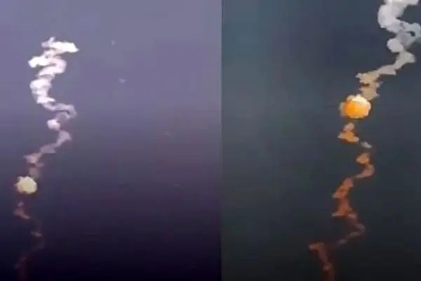 2 پالس معنادار جبهه مقاومت به تحولات غرب آسیا