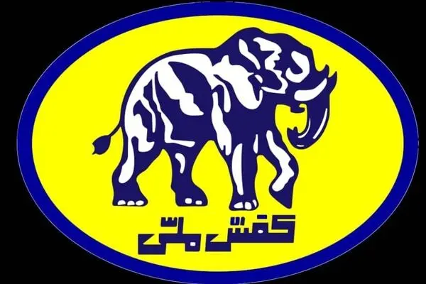 قدردانی کفش ملی از ورود به موقع دیوان محاسبات در‌ واگذاری حقوق مالکانه ملک میدان قیام