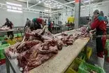 اختصاص ۸ میلیارد دلار یارانه برای کاهش قیمت گوشت در بازار