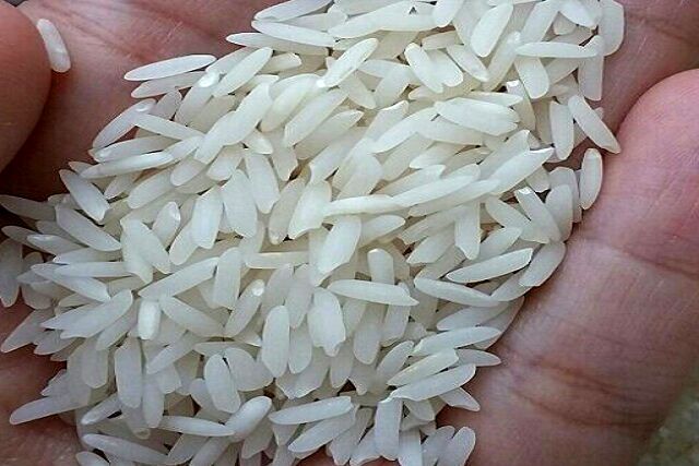 قیمت برنج در روز‌های اخیر کاهش 10 هزار تومانی داشت