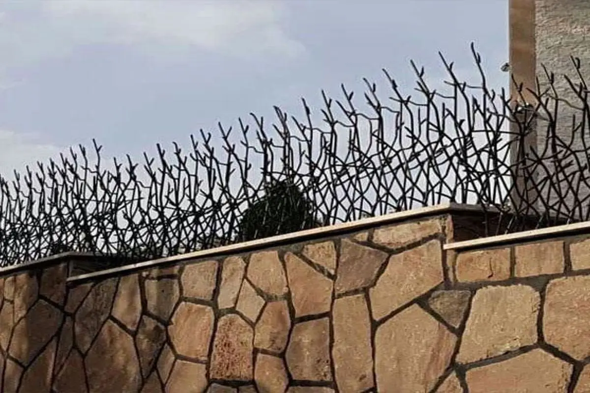 همه چیز درباره حفاظ شاخ گوزنی: مزایا، کاربردها و نکات مهم