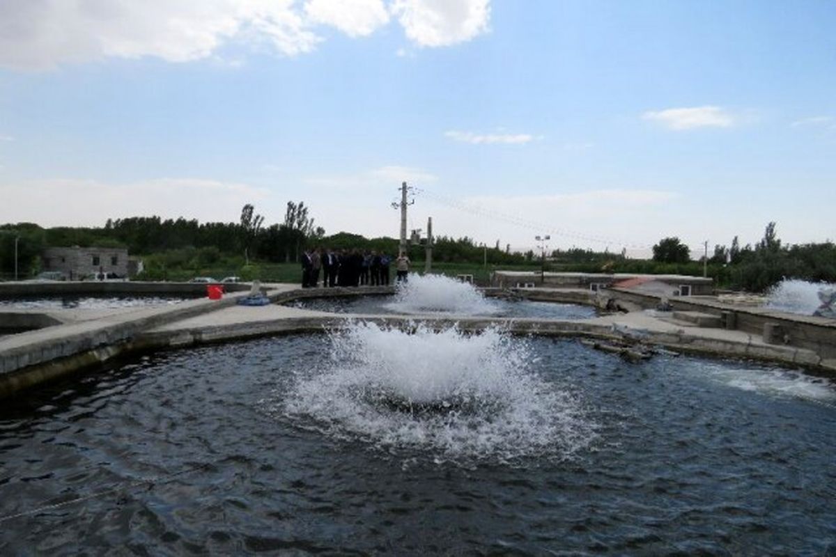 بنیاد علوی به توسعه آبزی‌پروری در خرمشهر کمک میکند
