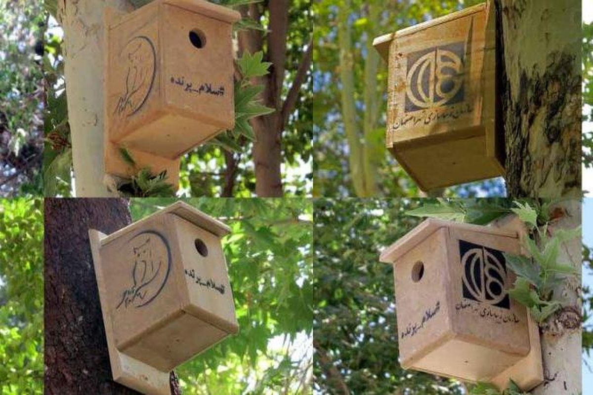 نصب 35 لانه پرنده روی درختان چهارباغ اصفهان