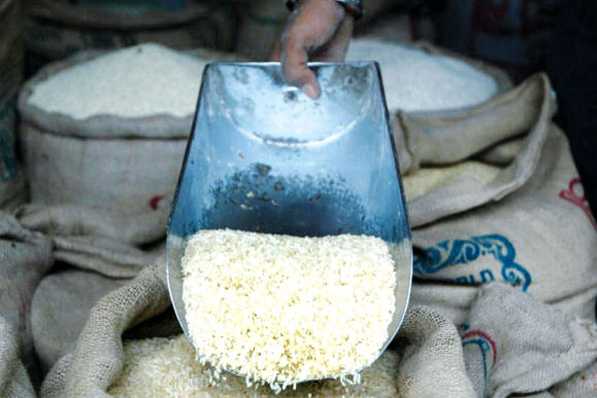 آغاز خرید توافقی برنج پرمحصول در مازندران