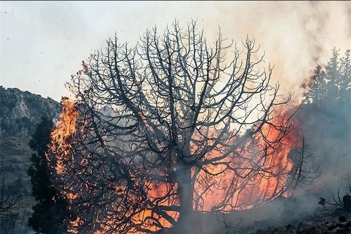 گرمای شدید هوا و سهل‌انگاری عامل انسانی بیشترین عامل آتش سوزی مناطق جنگلی