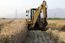 امحاء مزارع آلوده در شیراز از ۱۰۰۰ هکتار گذشت