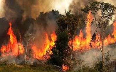 آتش سوزی در ۲۰ هکتار از مراتع بندرخمیر