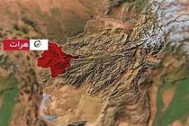 انفجار در شهر هرات 5 کشته و 20 زخمی برجا گذاشت
