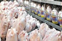روزانه حدود ۸ هزار تن مرغ در سراسر کشور عرضه می شود