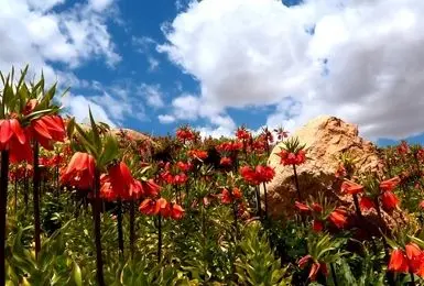 مناطق گردشگری چهارمحال و بختیاری+تصاویر