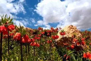 مناطق گردشگری چهارمحال و بختیاری+تصاویر