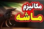 تعلیق اقتصادی خطرناک‌تر از جنگ است
