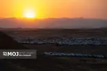 استاندار کرمانشاه از اوج‌گیری عبور زائران اربعین از مرز خسروی خبر داد