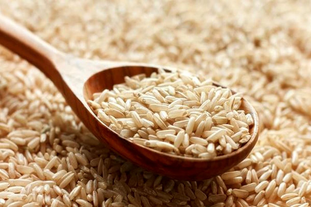 آیا برنج قهوه‌ای همان برنج سفید است؟!/ جلوگیری از چاقی و بهبود بی‌خوابی به کمک برنج سبوس‌دار