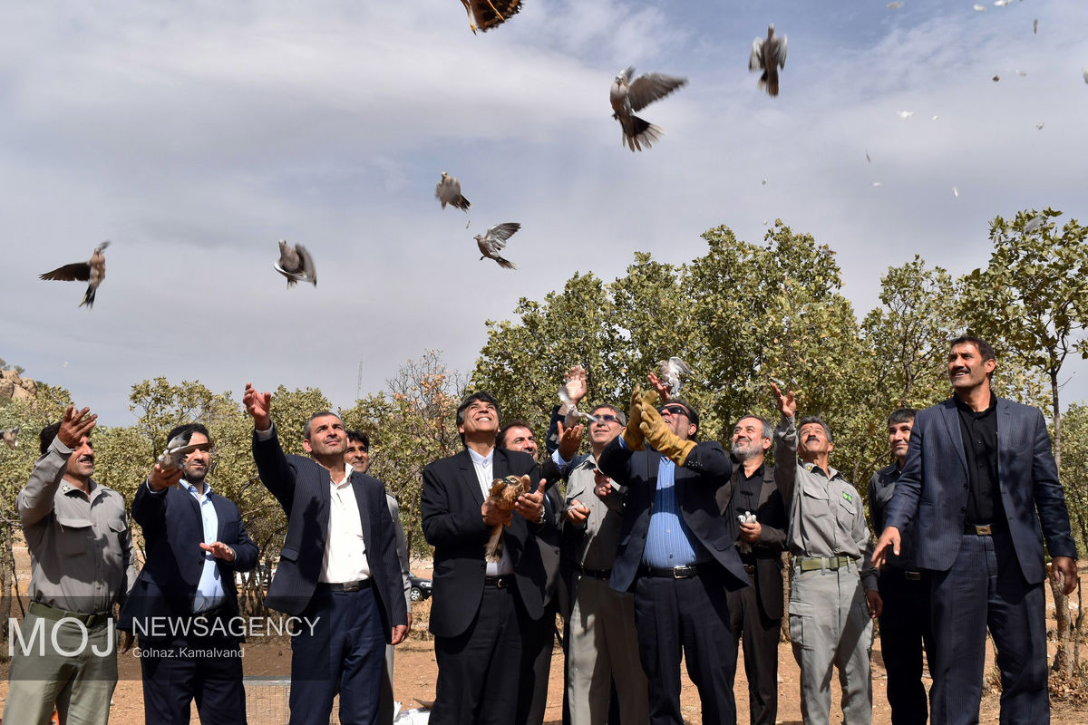 آئین رهاسازی پرندگان وحشی مکشوفه از قاچاقچیان با حضور استاندار لرستان برگزار شد 