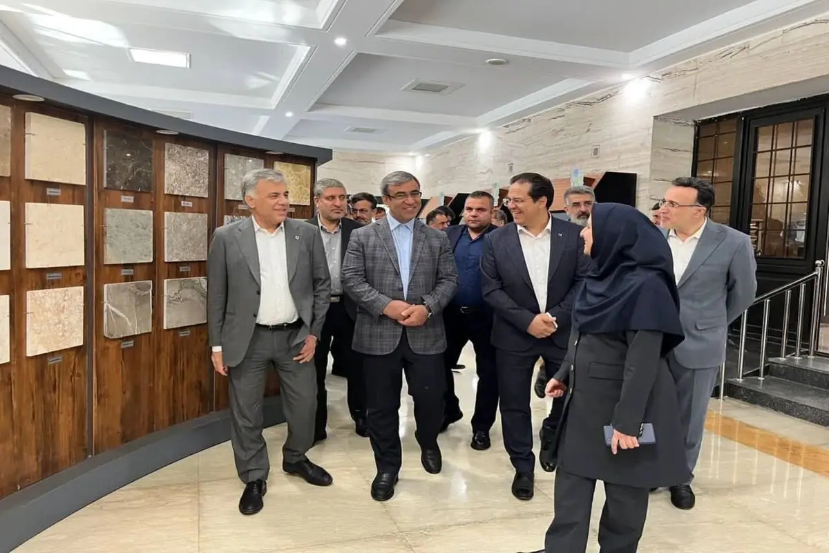 طرح واگذاری پهنههای معدنی به بخش خصوصی بهزودی اجرا میشود