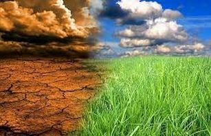 کمیته تغییر اقلیم وزارت جهاد کشاورزی به زودی راه اندازی می شود/تاکید بر شناسایی ردپای کربن و کاهش گازهای گلخانه ای  