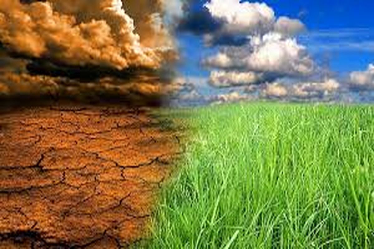 کمیته تغییر اقلیم وزارت جهاد کشاورزی به زودی راه اندازی می شود/تاکید بر شناسایی ردپای کربن و کاهش گازهای گلخانه ای  