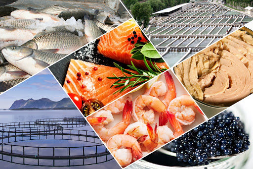 Iran's fishery export in 11 months declared