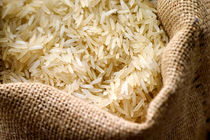 واردات برنج فعلا ممنوع شد
