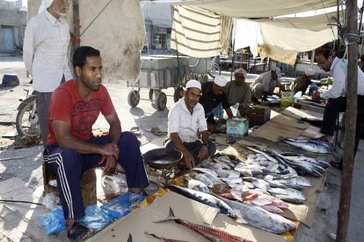 فروش سی تن از انواع ماهی در بازار گورزانگ میناب