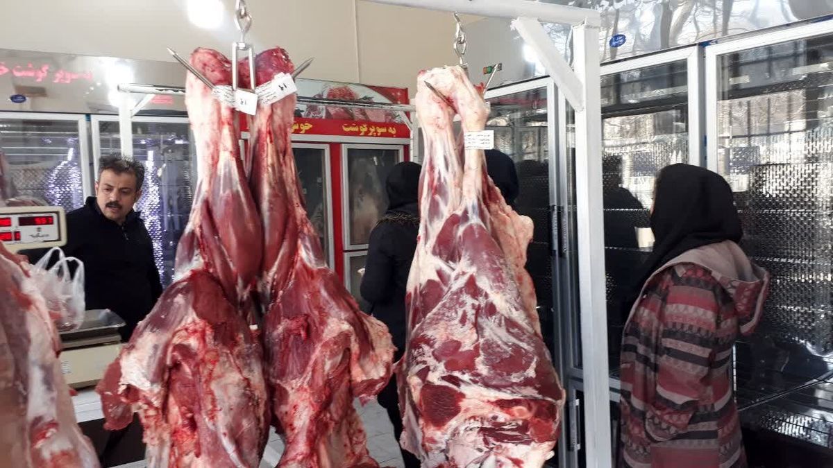قیمت گوشت قرمز سقوط کرد / قیمت گوشت قرمز امروز دوشنبه ۲۲ آبان ۱۴۰۲