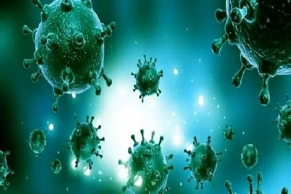 ثبت دومین فوت قطعی ناشی از بیماری آنفلوانزا در هرمزگان