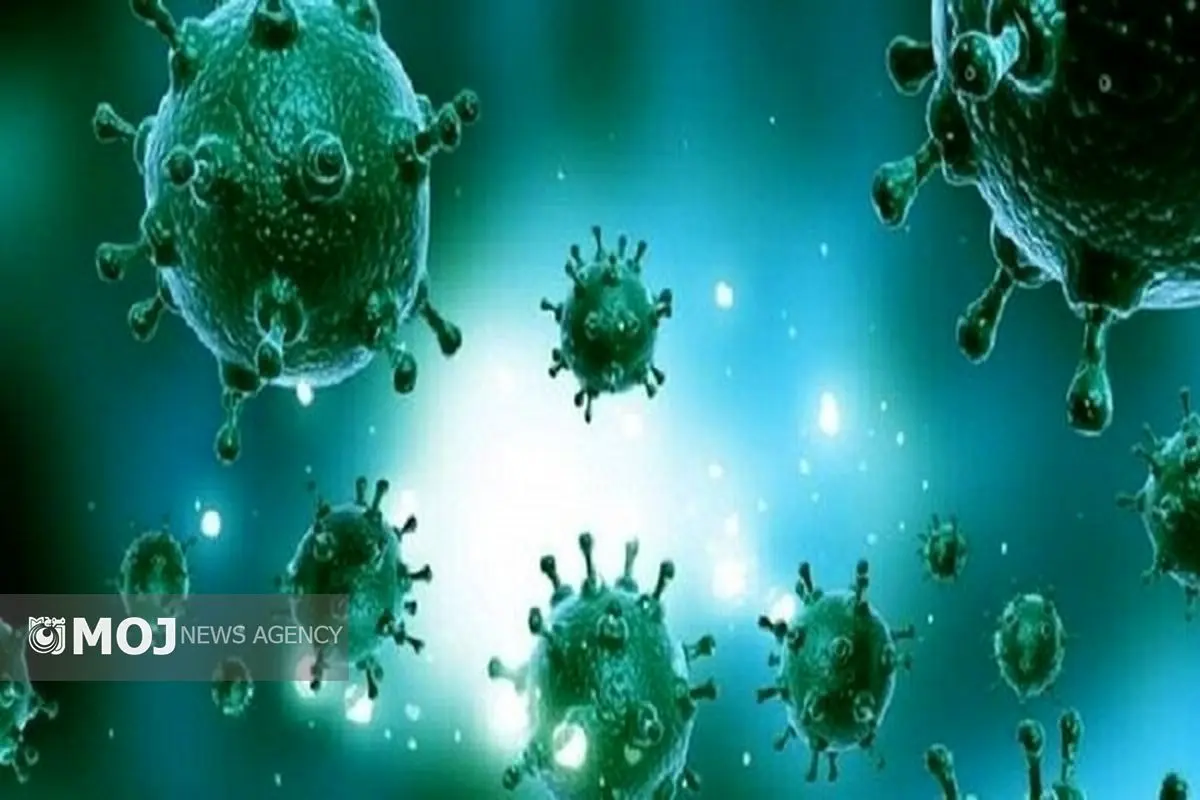 ویروس آنفولانزا رئیس دانشگاه علوم پزشکی هرمزگان