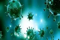 ثبت دومین فوت قطعی ناشی از بیماری آنفلوانزا در هرمزگان