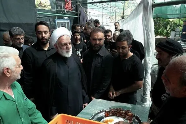 رئیس قوه قضائیه در جریان نحوه پذیرایی از زائران حضرت رضا(ع) قرار گرفت