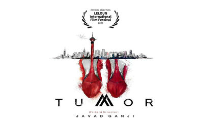 تومور در بین نامزدهای بهترین فیلم جشنواره عفرین قرار گرفت