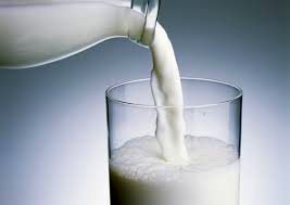 تولید ۳۵ هزارتن شیر در دامداری ‎‌های صنعتی آمل 