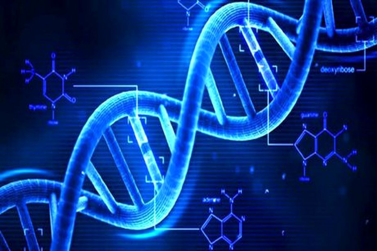 سرمایه‌گذاری مایکروسافت روی پردازشگر مبتنی بر DNA