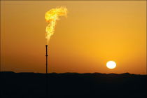 استمرار زیاده خواهی عربستان در بازار نفت