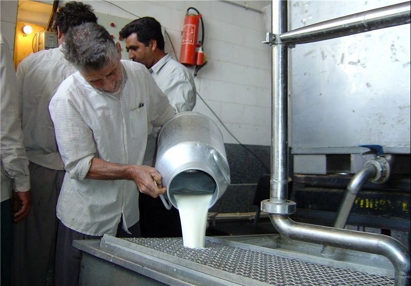 ۳۰ هزار تن شیرخام از دامداران کشور خریداری شد