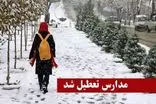 مدارس برخی شهرها در اردبیل غیرحضوری شد
