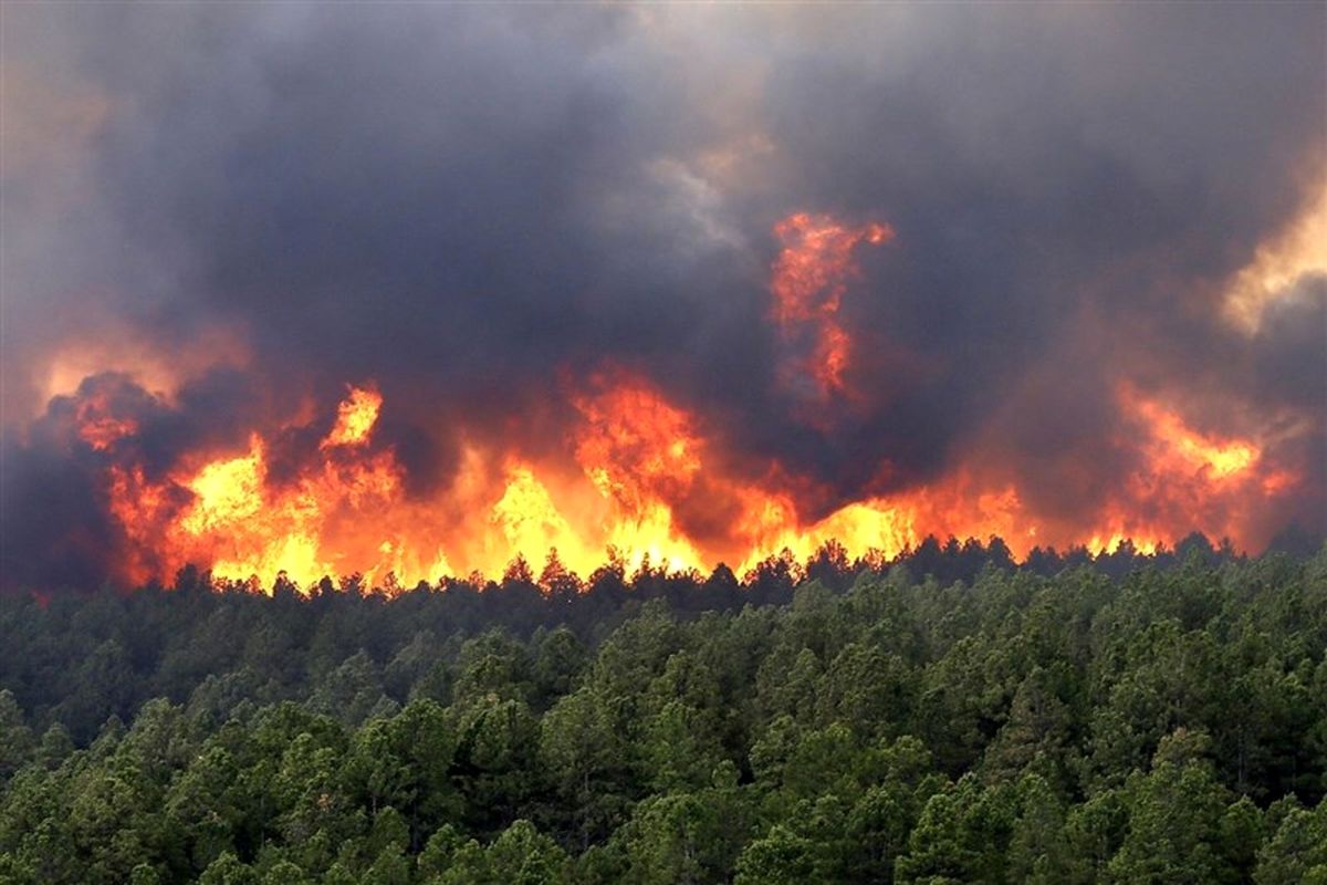 خطر آتش سوزی در مناطق جنگلی و تالابی گیلان/مسافران از روشن کردن آتش در عرصه‌های طبیعی خودداری کنند