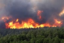 خطر آتش سوزی در مناطق جنگلی و تالابی گیلان/مسافران از روشن کردن آتش در عرصه‌های طبیعی خودداری کنند