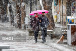 برف و باران در شمال‌شرق/ فردا جو کشور آرام است