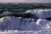 ارتفاع موج تا ۲.۵ متر در جنوب کشور افزایش می‌یابد/ اختلال در تردد شناورهای مسافربری