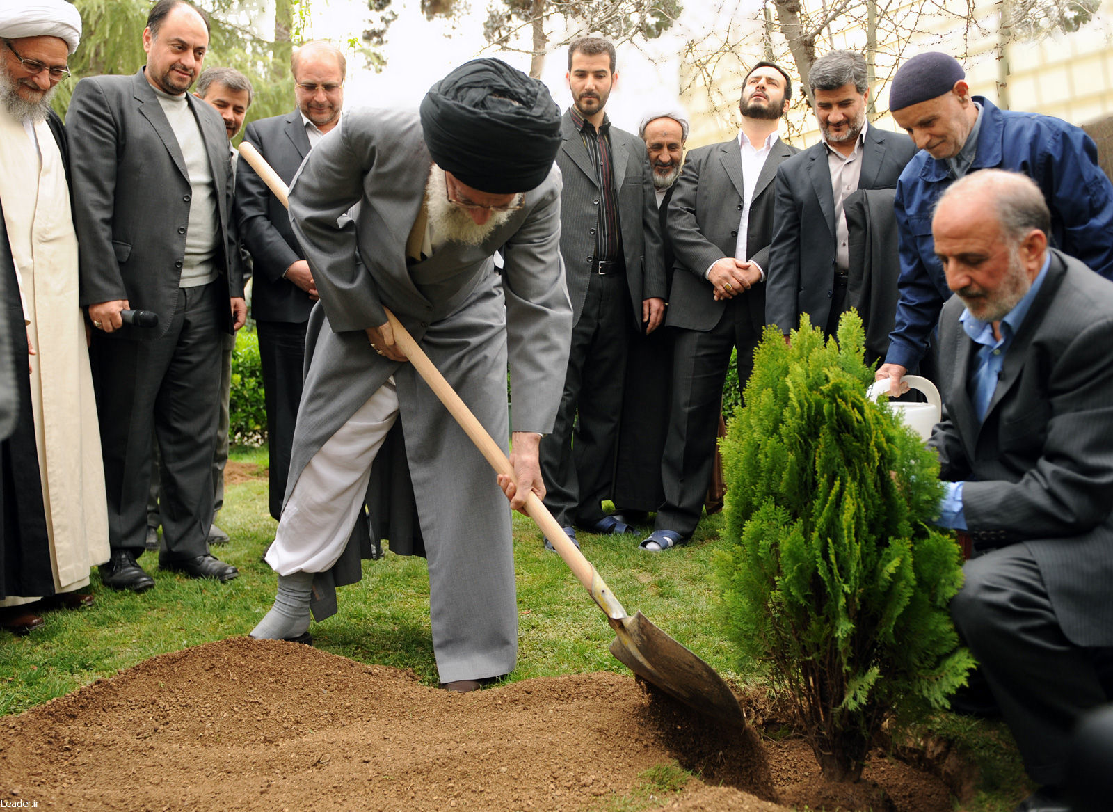 اعلام همکاری شماری از گرگانی‌ها برای کمک به متهم محکوم به کاشت درخت در گرگان