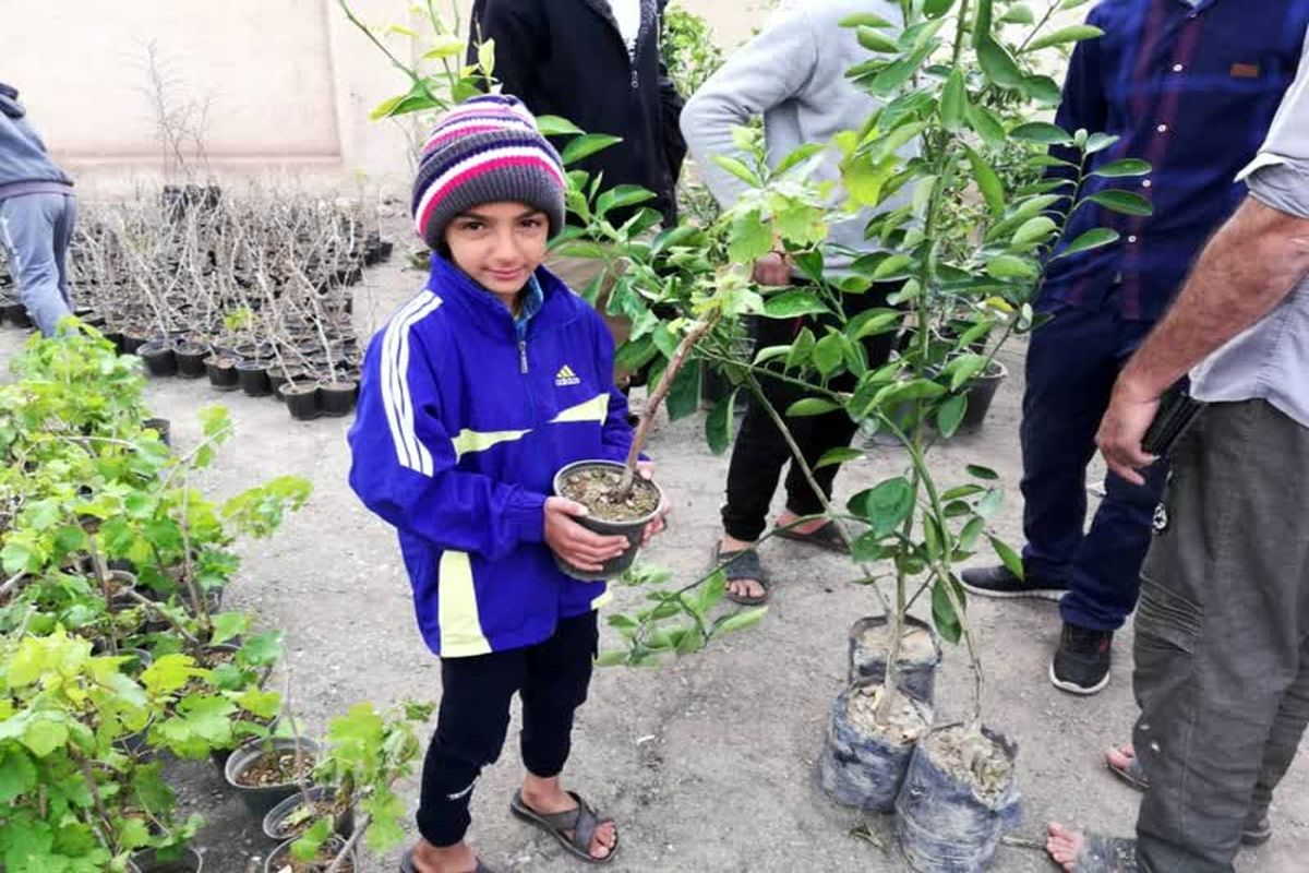 توزیع 7 هزار اصله درخت مثمر در روستاهای دهستان قمرود و قنوات