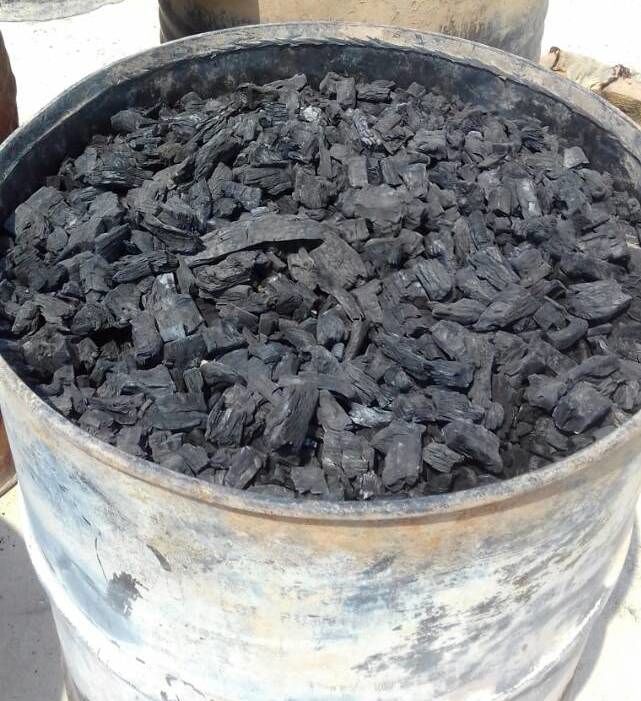 کشف و تخریب 25 کوره تولید زغال در سرفاریاب / تشکیل 100 پرونده برای متعرضان به منابع ملی