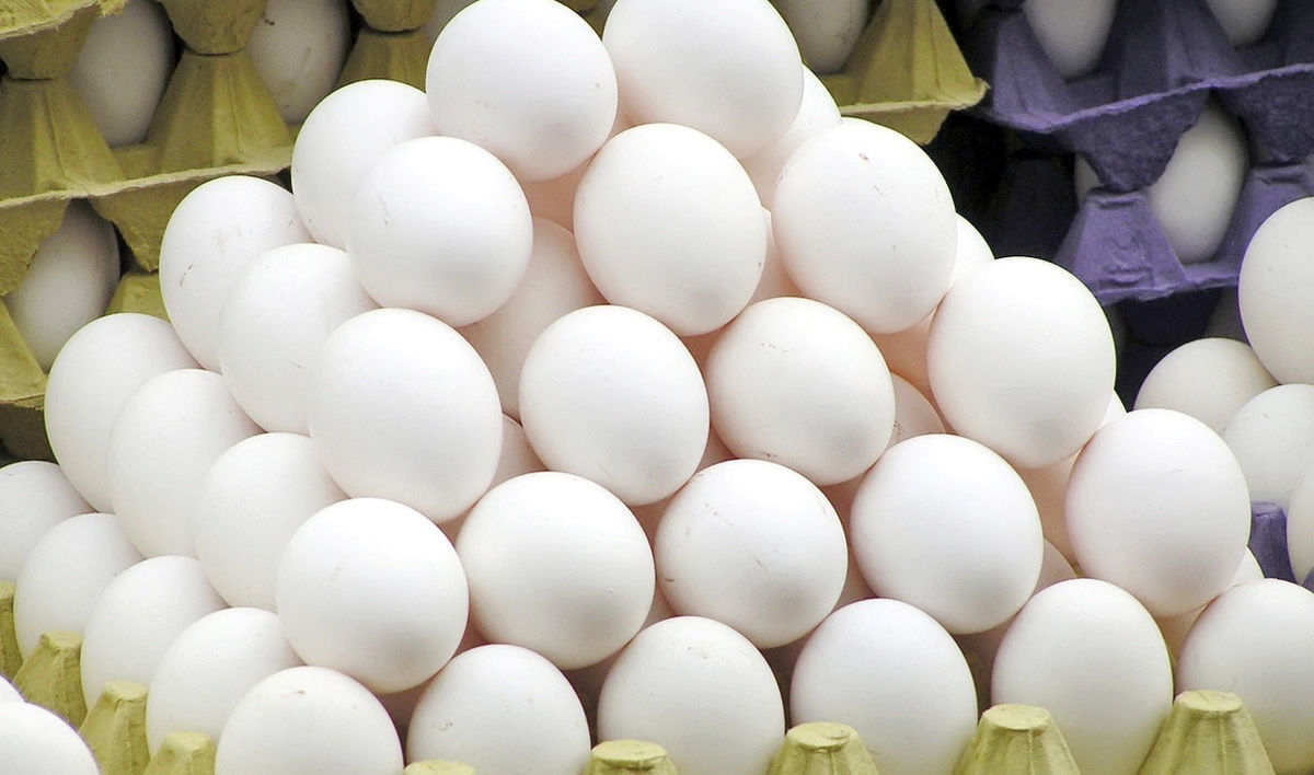 حداکثر قیمت انواع تخم مرغ های شناسنامه دار را اعلام کرد