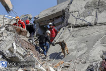 شمار تلفات زلزله در ترکیه به ۳۶ هزار و ۱۸۷ نفر رسید