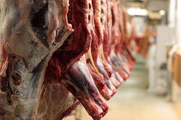 توزیع گوشت گرم گوسفندی در بندرعباس